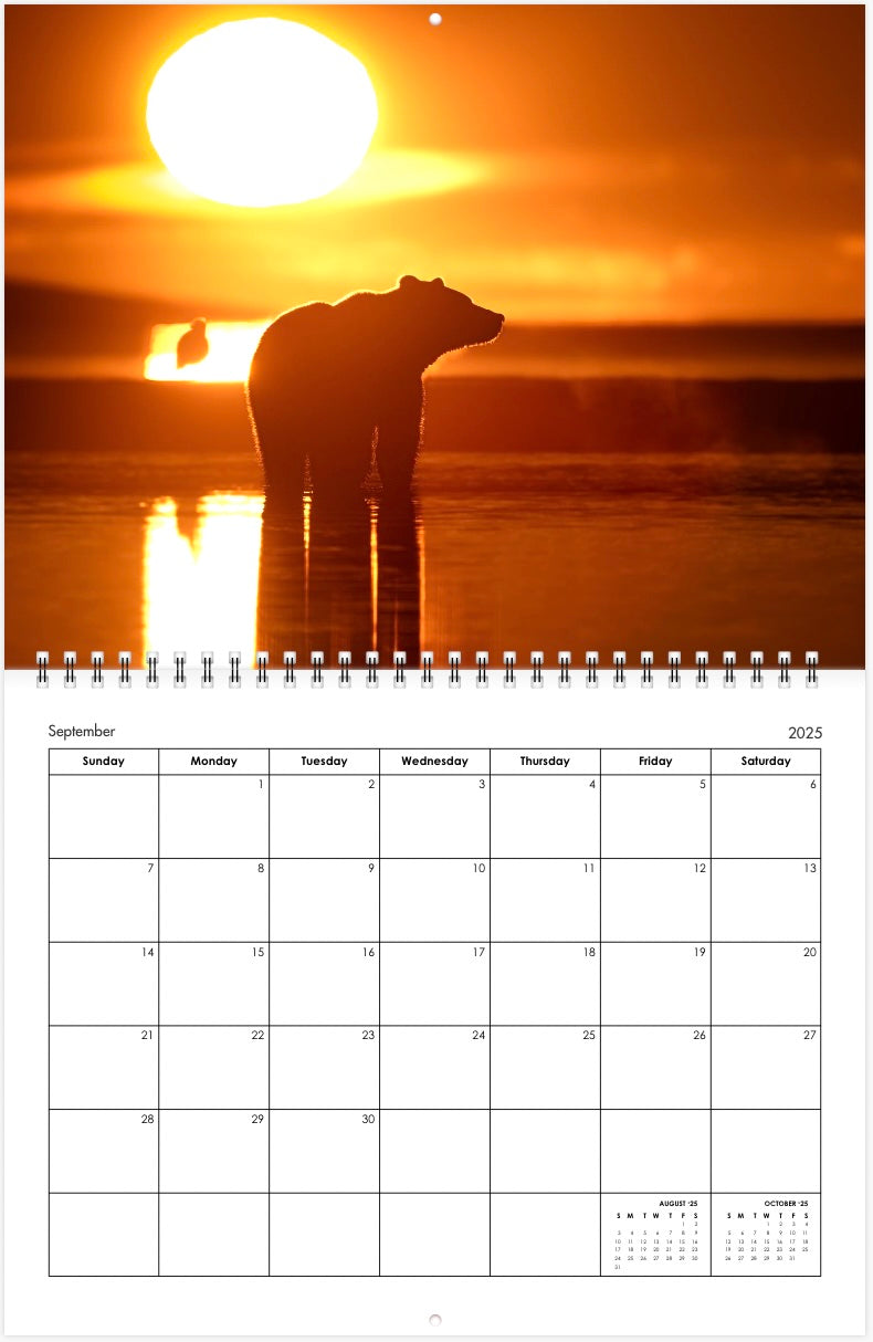 2025 Little Bear Wildlife Calendar