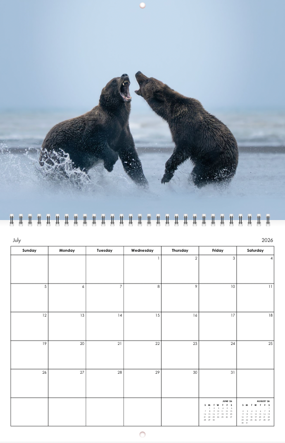 2026 Little Bear Wildlife Calendar