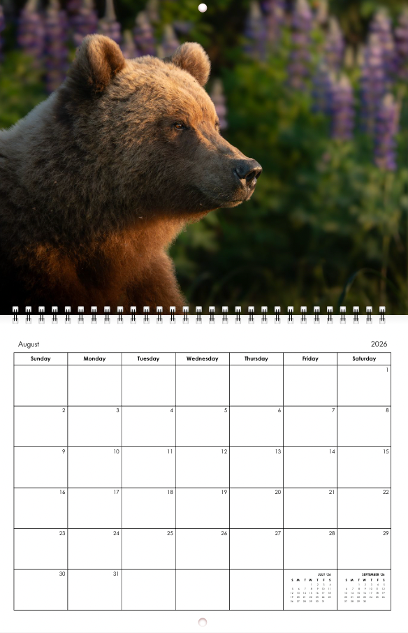 2026 Little Bear Wildlife Calendar