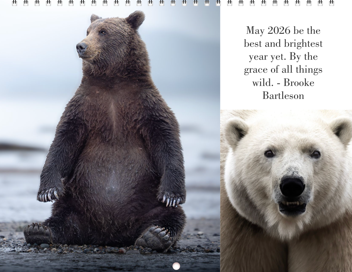 2026 Little Bear Wildlife Calendar