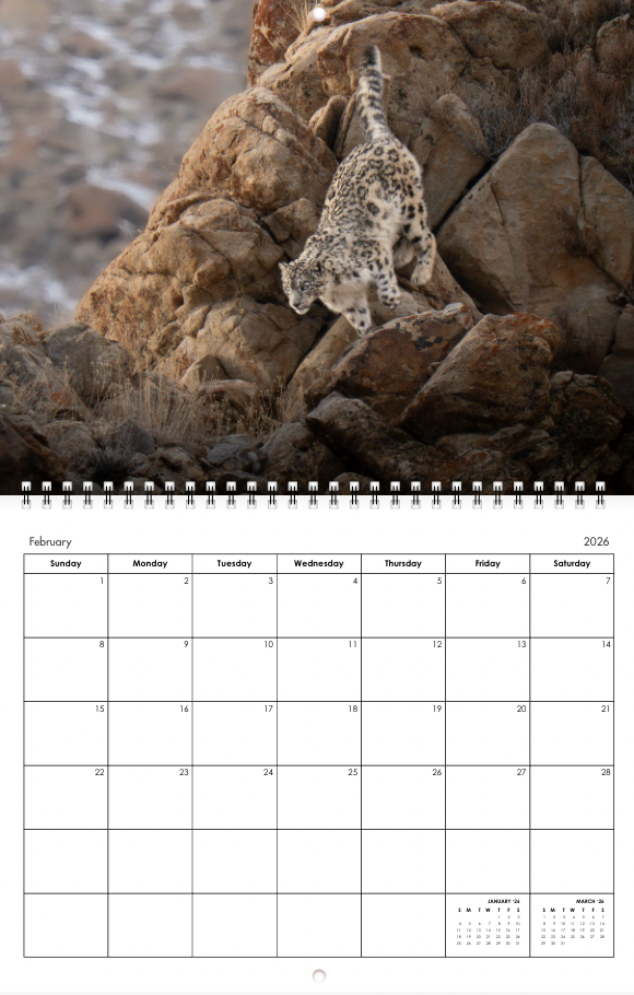 2026 Little Bear Wildlife Calendar