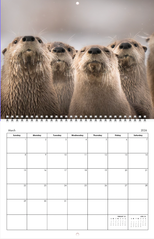 2026 Little Bear Wildlife Calendar