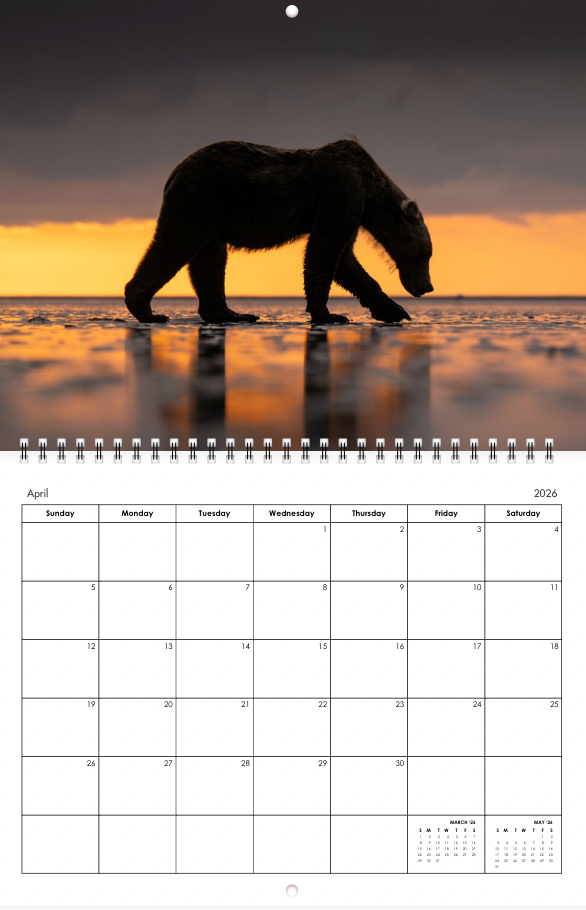 2026 Little Bear Wildlife Calendar