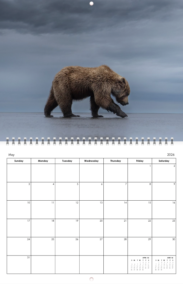 2026 Little Bear Wildlife Calendar