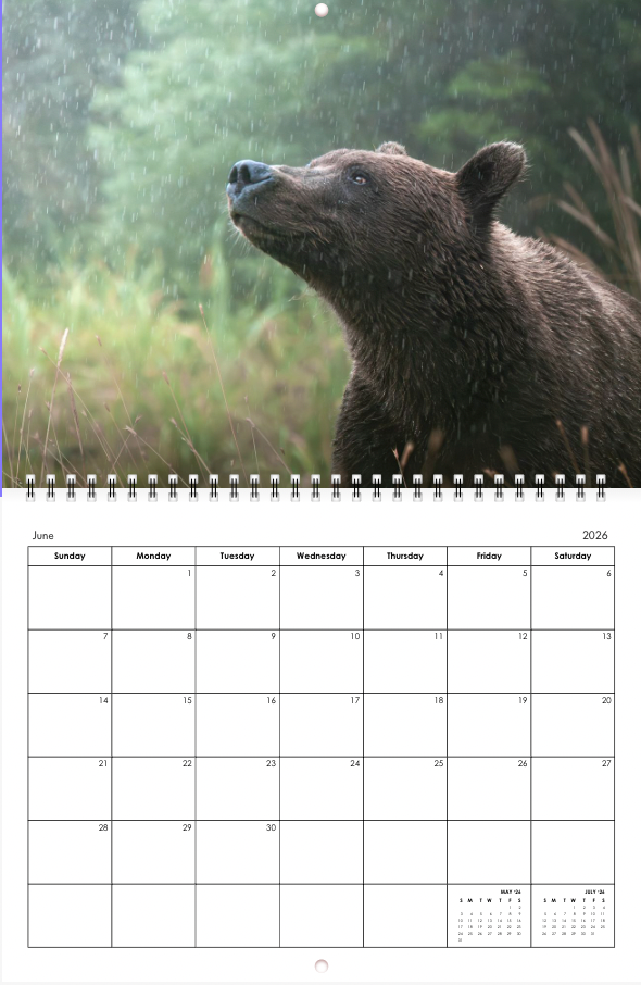 2026 Little Bear Wildlife Calendar