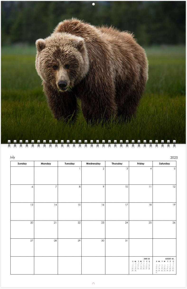 2025 Little Bear Wildlife Calendar