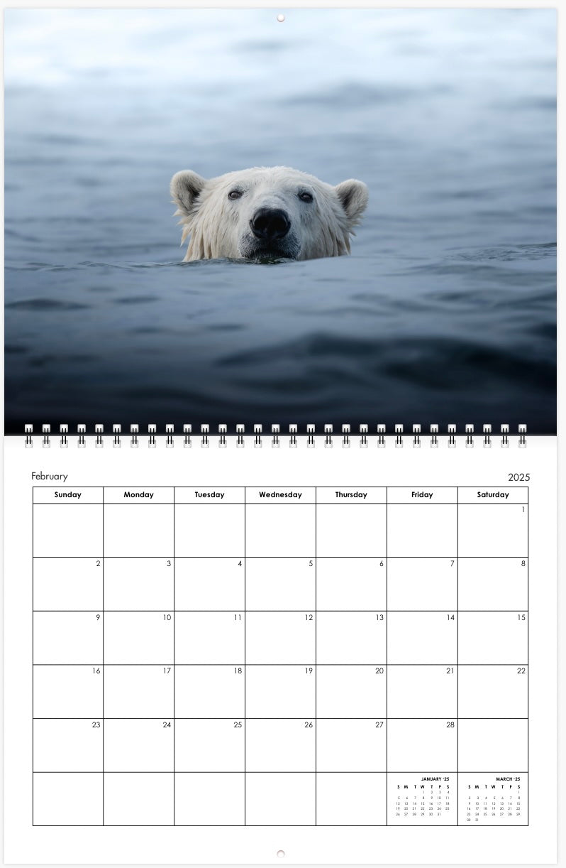 2025 Little Bear Wildlife Calendar