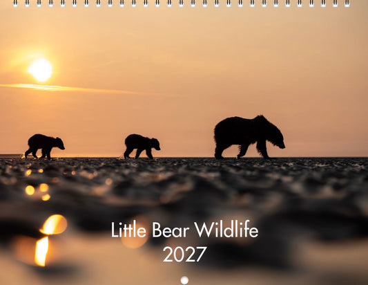 2027 Little Bear Wildlife Calendar