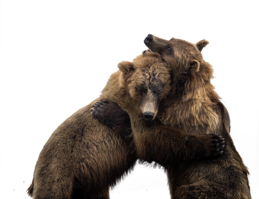 Bear Hug